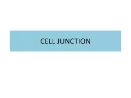 CELL JUNCTION