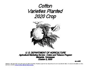 Cotton Varieties Planted United States  Crop    The Deltapine brand of Upland cottonseed was the most popular planted in the United States for the   season according to the USDA Agricultural Marketi