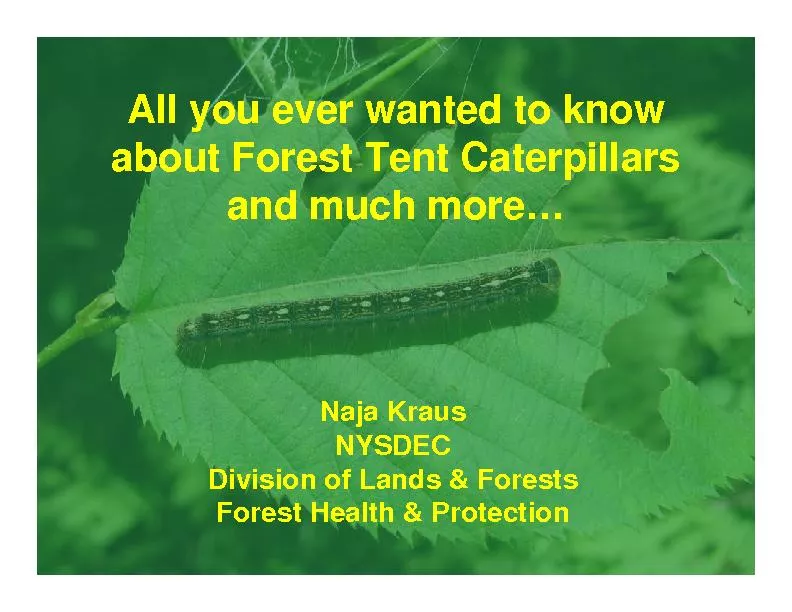 All you ever wanted to know about Forest Tent Caterpillars and much mo