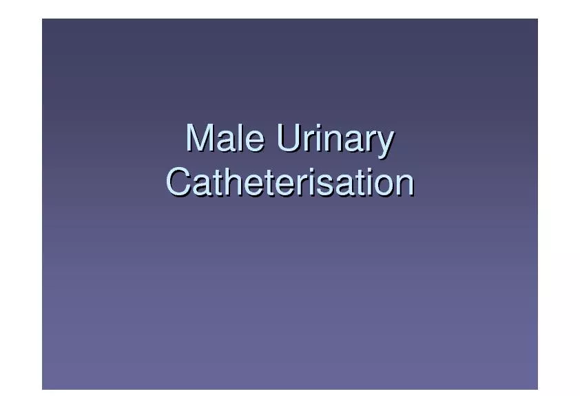 Male Urinary Male Urinary CatheterisationCatheterisation