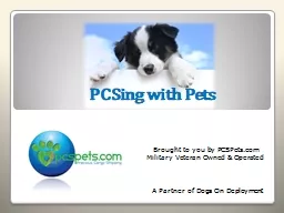 PCSing with Pets
