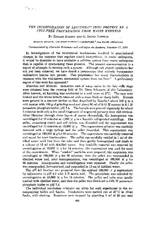 THEINCORPORATIONOFLEUCINE-C'4INTOPROTEINBYACELL-FREEPREPARATIONFROMMAI