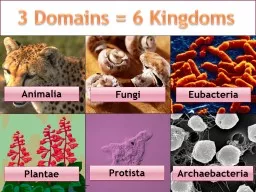 3  Domains = 6 Kingdoms