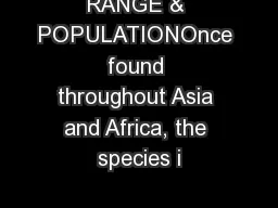 RANGE & POPULATIONOnce found throughout Asia and Africa, the species i