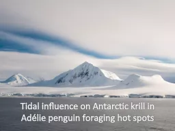Tidal influence on Antarctic krill in Adélie penguin forag