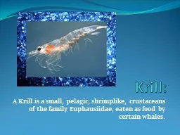 Krill: