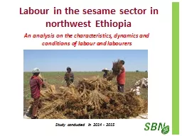 Labour in the sesame sector in northwest Ethiopia