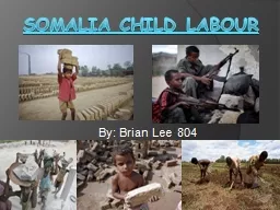 Somalia Child Labour