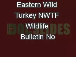 Eastern Wild Turkey NWTF Wildlife Bulletin No