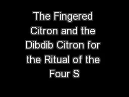 The Fingered Citron and the Dibdib Citron for the Ritual of the Four S