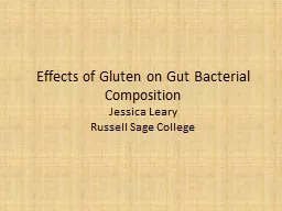 Effects of Gluten on Gut Bacterial