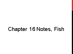 Chapter 16 Notes, Fish