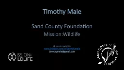 Timothy Male