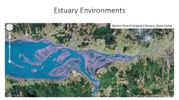 Estuary Environments