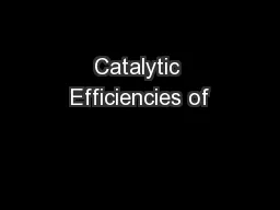 Catalytic Efficiencies of