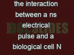 Modelling of the interaction between a ns electrical pulse and a biological cell N