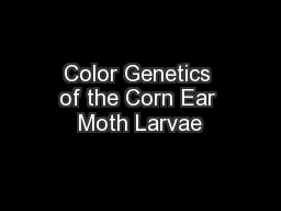 Color Genetics of the Corn Ear Moth Larvae