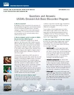 Questions and Answers USDAs Emerald Ash Borer Biocontrol Program Q