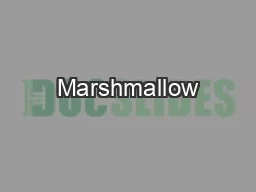 Marshmallow Muscles