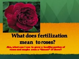 What does fertilization