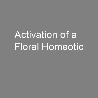 Activation of a Floral Homeotic