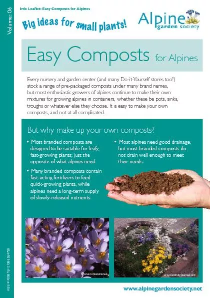 Easy composts for alpines