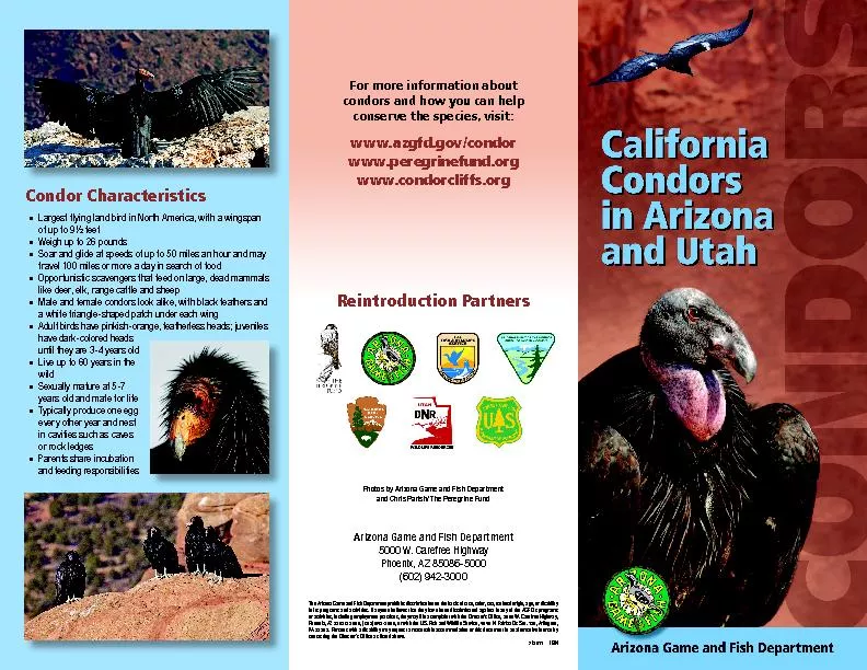 California condors in Arizona and utah