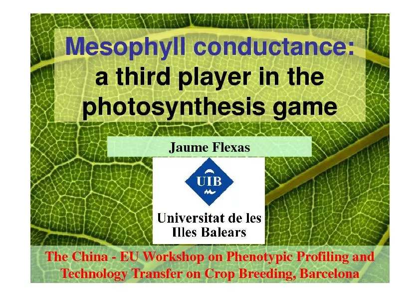 Mesophyle conductance: a third player in the photosynthesis game