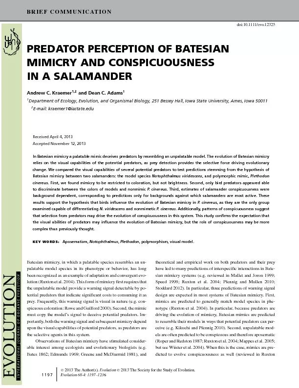 Predator perception of batesian mimicry and conspicuousness in a salamander