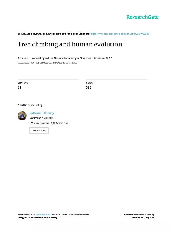 Tree climbing and human evolution