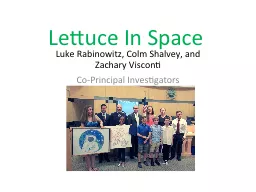 Lettuce In Space