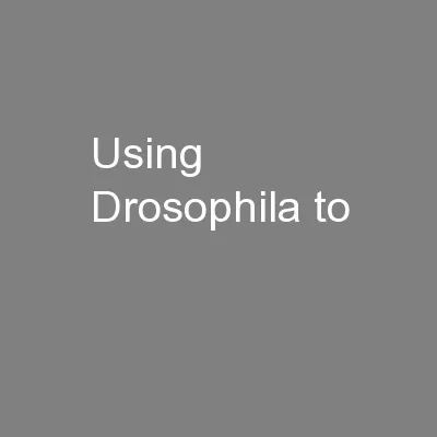 Using Drosophila to