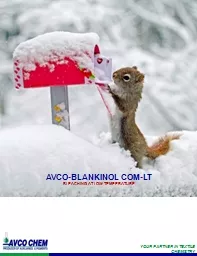 AVCO-BLANKINOL COM-LT