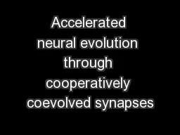Accelerated neural evolution through cooperatively coevolved synapses