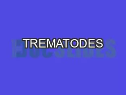 TREMATODES