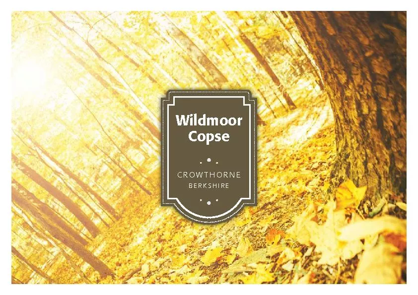 Wildmoor copse