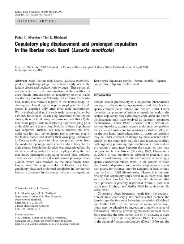 Copulatory pulg displacement and prolonged copulation in the liberian  rock lizard