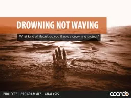 What kind of lifebelt do you throw a drowning project?