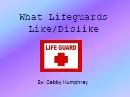 What Lifeguards Like/Dislike