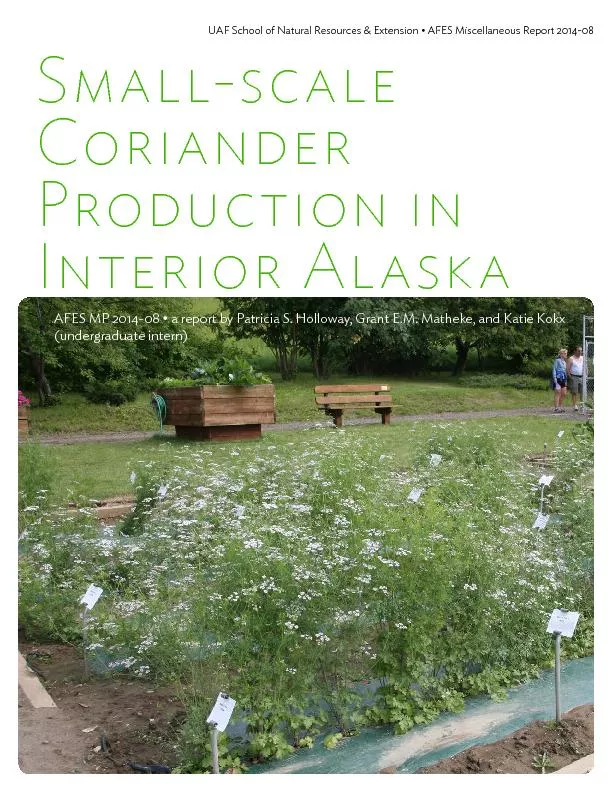 Small scale coriander production in interior alaska