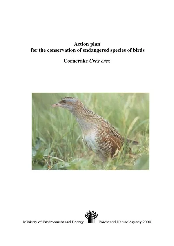 Action plan for the conservation of endangered species of birds corncrake crex