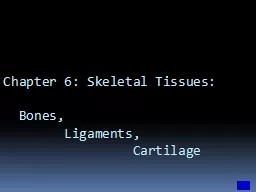 Chapter 6: Skeletal Tissues: