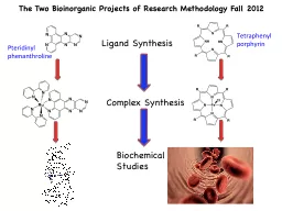 The Two Bioinorganic Projects of Research Methodology Fall
