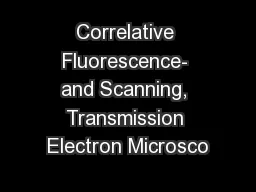 Correlative Fluorescence- and Scanning, Transmission Electron Microsco
