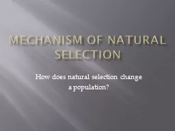 Mechanism of Natural Selection