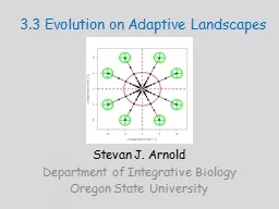 3.3 Evolution on Adaptive Landscapes