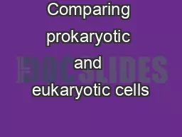 Comparing prokaryotic and eukaryotic cells