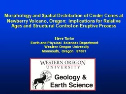 Morphology and Spatial Distribution of Cinder Cones at Newb