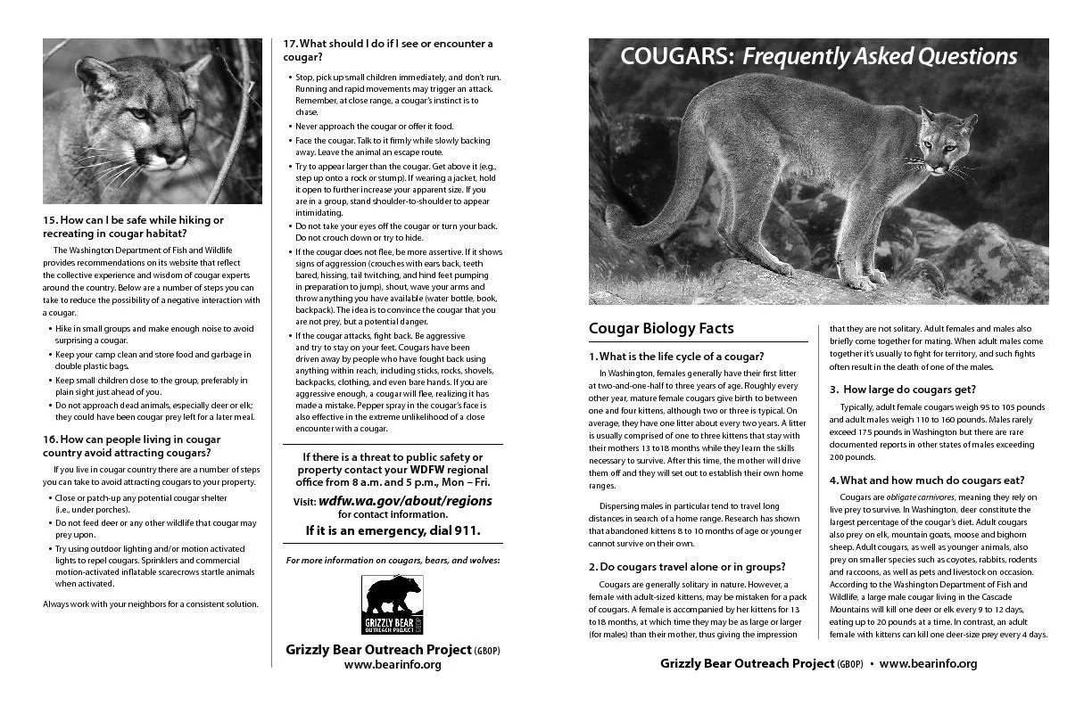 Cougar Biology Facts