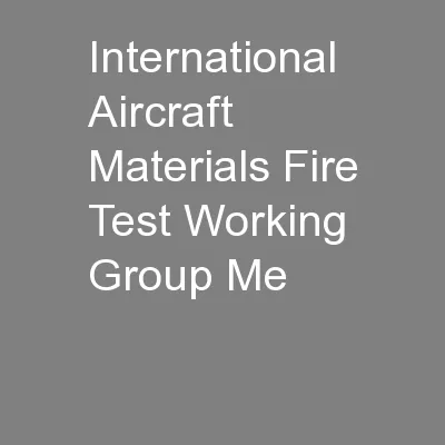 International Aircraft Materials Fire Test Working Group Me